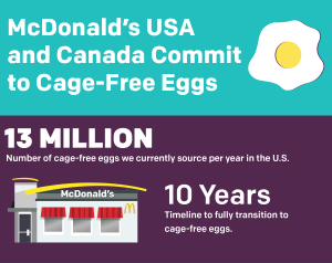 McDonald's Egg Infographic