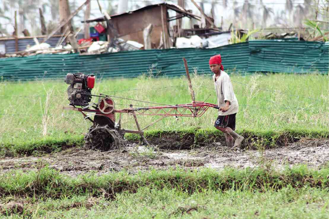 Vulnerability of agri sector to disasters still a grave concern - INQUIRER.net