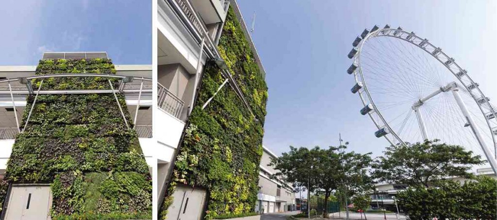 THE F1 Pit Building in Singapore is one of the projects installed by Greenology. 