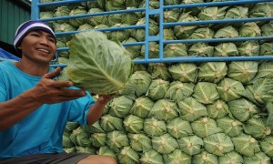 TOURISTS may buy cheaper vegetables at the La Trinidad Trading Post in the province of Benguet (photo by EV Espiritu, Inquirer Northern Luzon).