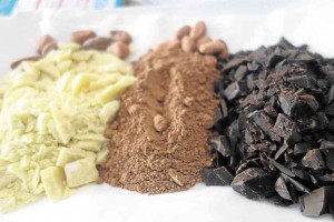 DIFFERENT varieties of chocolate and cacao beans 