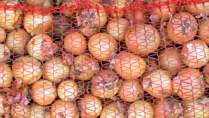 Farmers to sell onions to fast-food chains