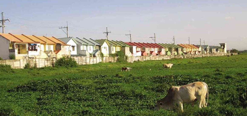 A WHITE cow grazes on an open field, with a row of houses in a real estate development site in General Trias, Cavite, as the background. photo: Eric Sister 