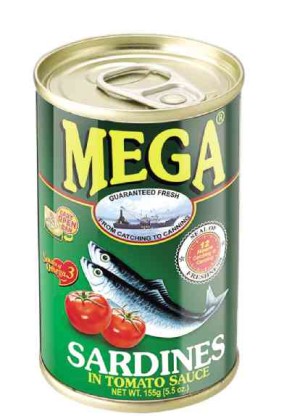 Mega was a supplier before it established its own line