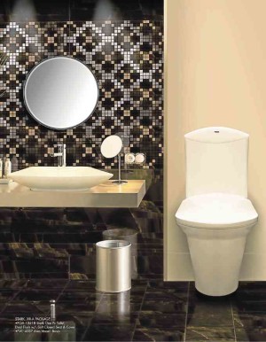 Pozzi has product package lines that offer matching water closets and lavatories