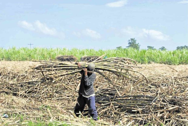 Pernia: Sugar trade liberalization 'not high priority yet'