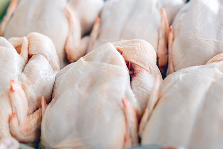 PH bans Dutch poultry due to bird flu outbreak