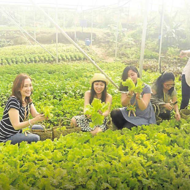 farm tourism in the philippines research