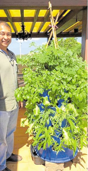 Social enterprise seeks to inspire more Filipinos to grow own food