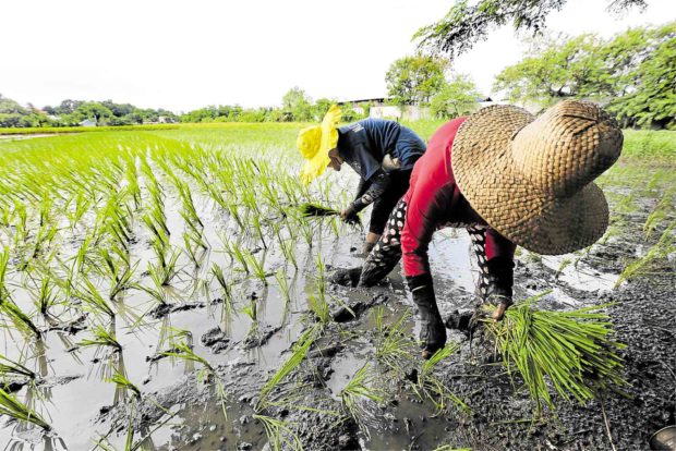 Dar’s agriculture targets can be achieved