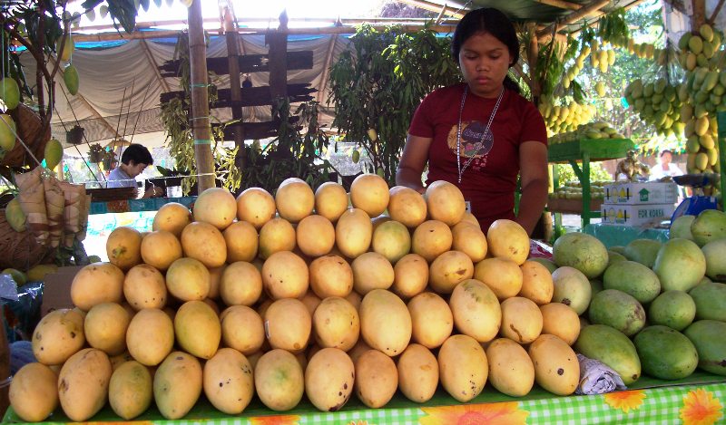 The popular sweet mangoes of Guimaras Island are always in demand.