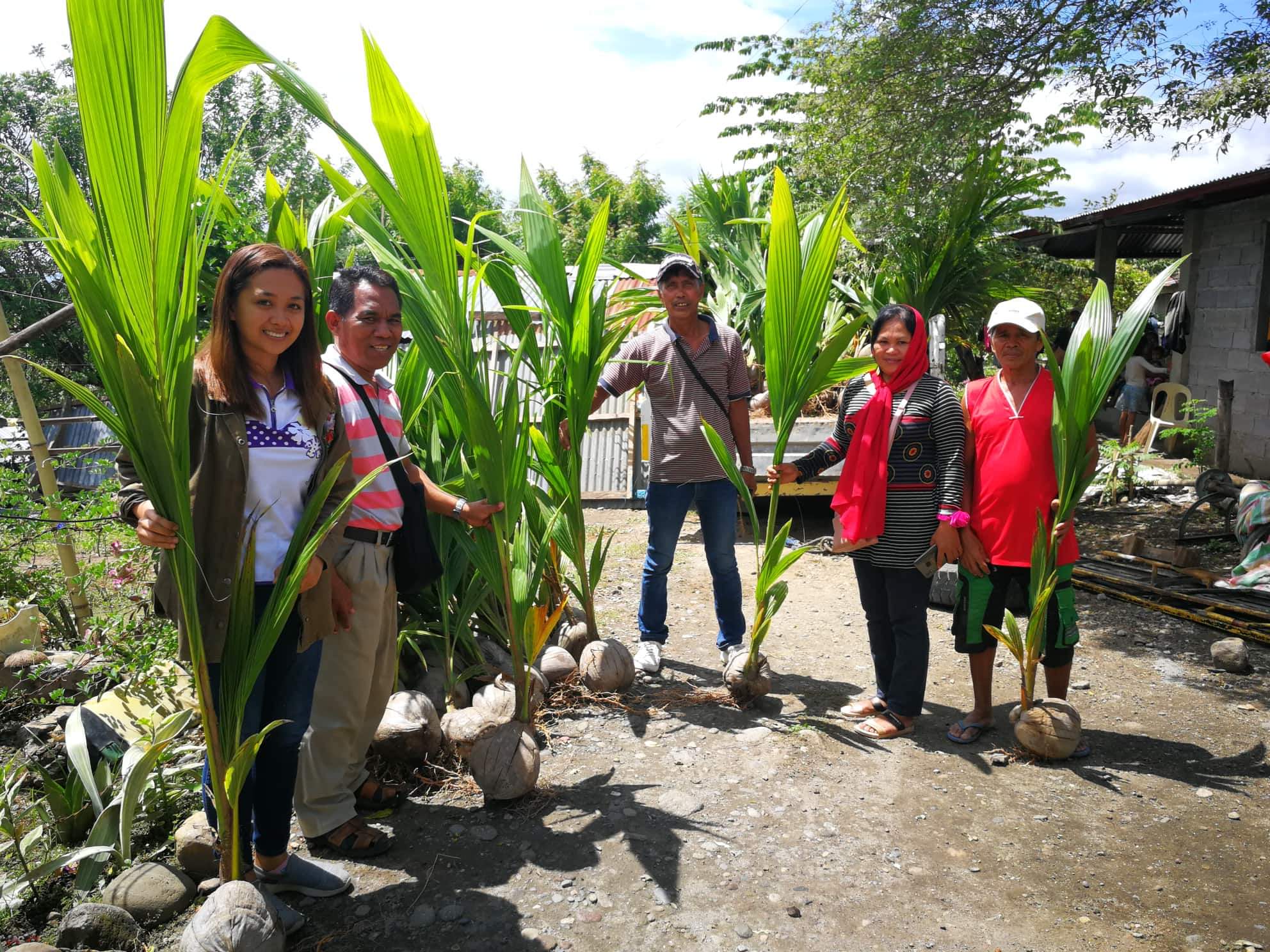 Century Pacific Food Donates Seedlings To Coconut Farmers In Mindanao Helping Enhance Their 4568