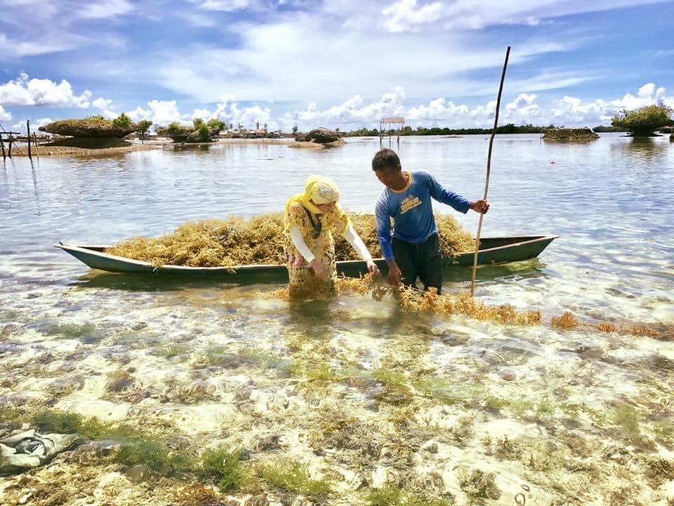 Tawi-Tawi sibs support community, Badjao students by selling locally-produced seaweed chips