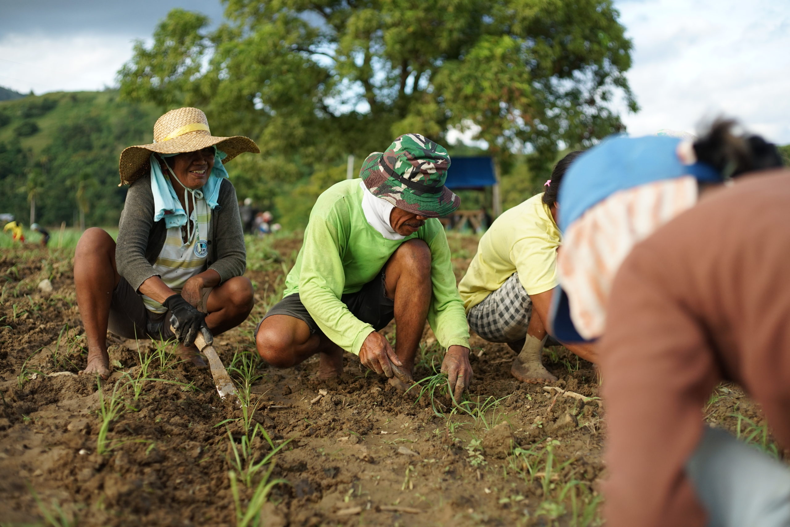 Many farmers' coops turn inactive due to lack of managerial skills ...