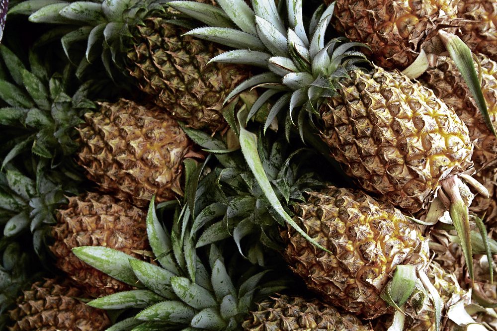 PH pineapple exports up 5 in 2023