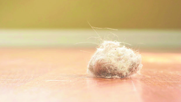 Dust is a concoction of unpleasant and disgusting stuff, which includes dead skin and hair cells from humans, the carcasses and waste products of microscopic creatures such as dust mites and worn-out bits of clothing and furniture. —MOLEKULE BLOG