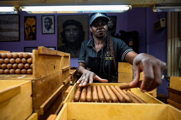 Worker checking cigars quality at Cohiba factory