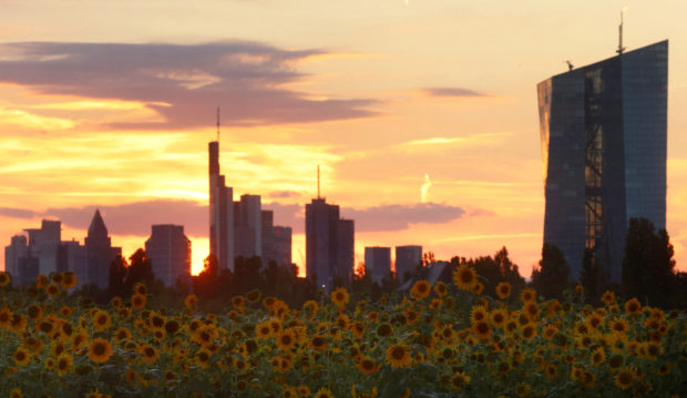 Sunflowers, skyline of Frankfurt and ECB headquarters