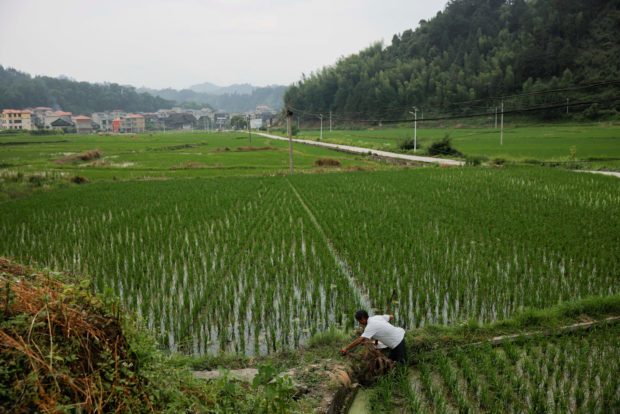 Farmer tends to his farm in Guizhou, China