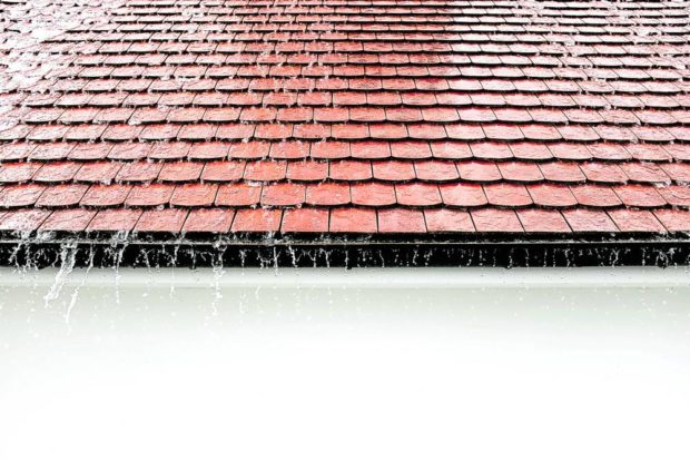 Clean your gutters and fix your roofs to avoid leaks during storms.