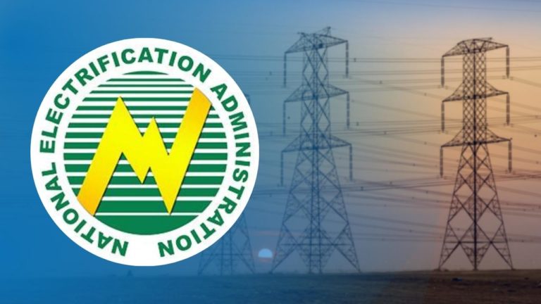 NEA doubles down fight against corruption in utilities
