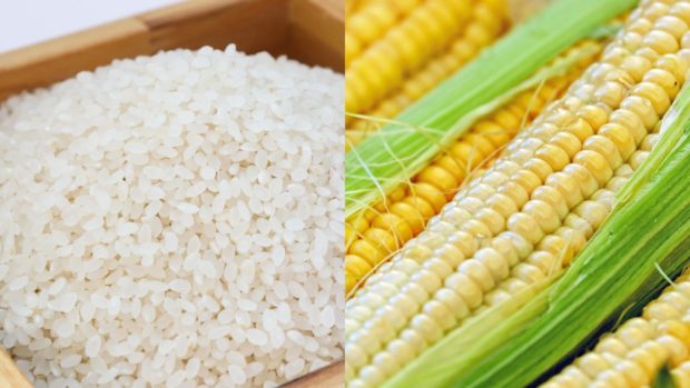 Rice, corn inventory declined in July