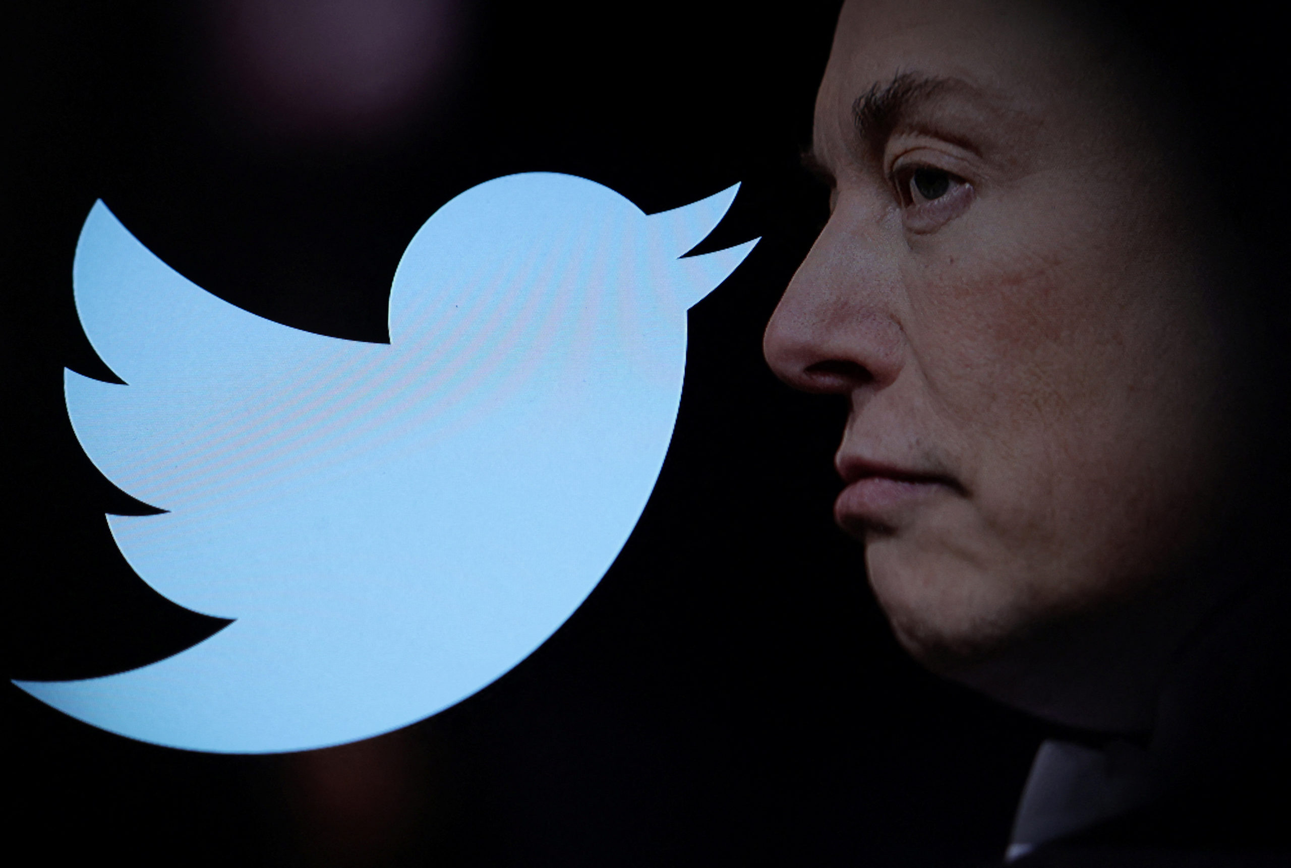 Elon Musk's Twitter Ownership Begins With Firings, Uncertainty ...