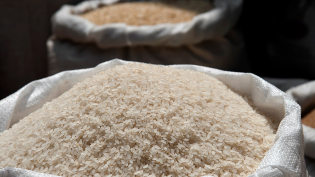 Rice imports as of Sept rose 7.6% to 3M MT