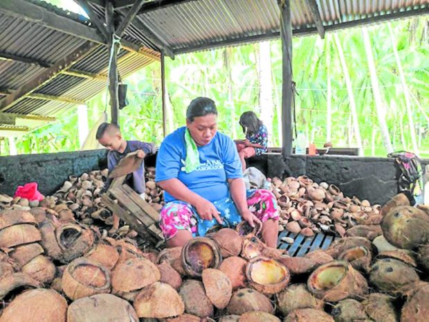 Philippine Coconut Authority seeks higher budget of P2.4 billion in 2025