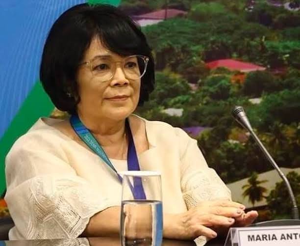 review-of-environment-laws-under-way-says-denr-inquirer-business