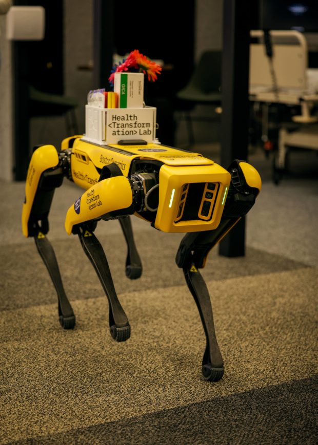 Robotics at MIT Lab