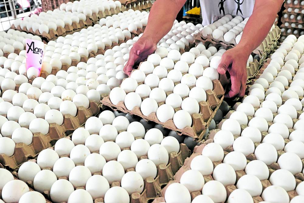 Philippines to export eggs to Taiwan Inquirer Business