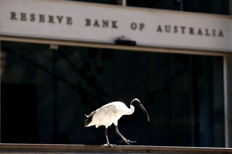 An ibis bird perches next to the Reserve Bank of Australia building