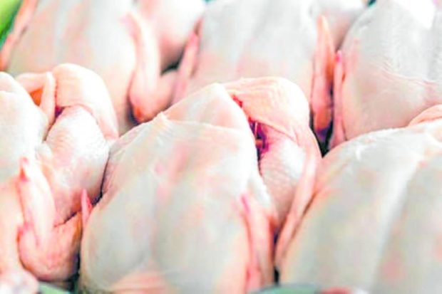 Stock photo of dressed chicken. STORY: PH chicken output to improve this year