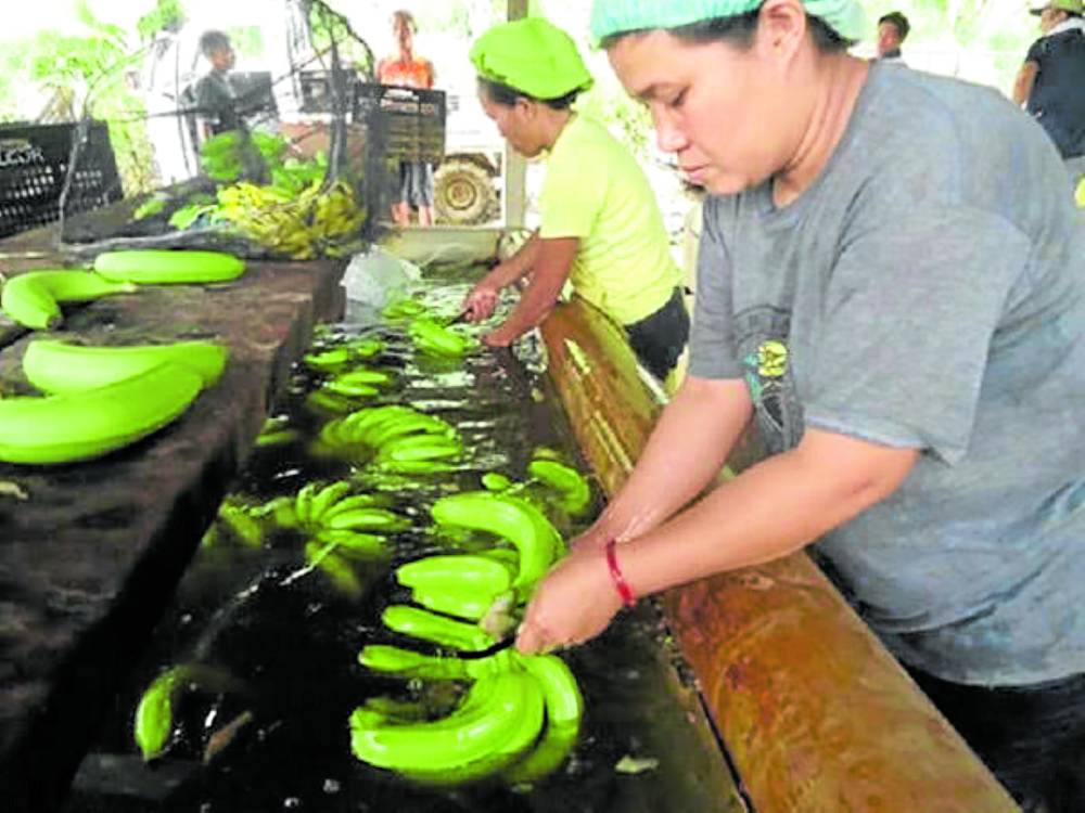 Trade officials will lobby for Japan to end its practice of imposingseasonal tariffs imposed on Philippine banana and pineapple exports, as part of the PJEPA review. 