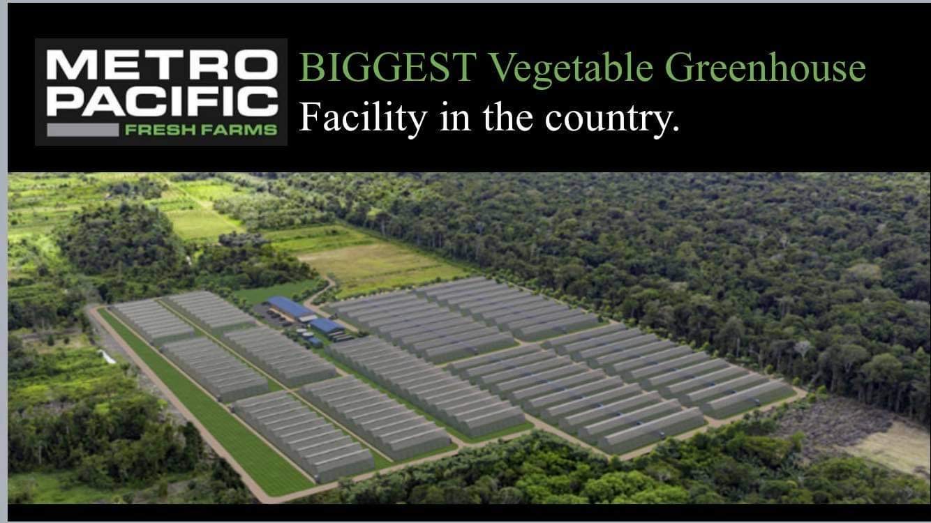 Metro Pacific Israels Lr Group To Build Phs Biggest Vegetable