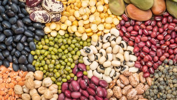 Pulses and other leguminous vegetables