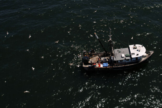 Birds fly around a fishing boat in the waters off Point Judith, Rhode Islands