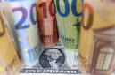 Dollar and euro banknotes