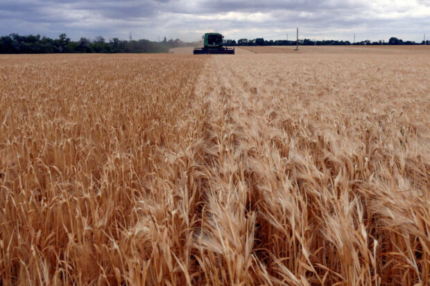 A combine harvests barley in a field in Ukraine