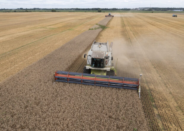 Harvesters collect wheat in the village of Zghurivka, 
