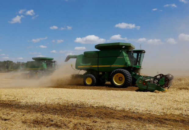 Combines harvest wheat in a field in the Donetsk Region