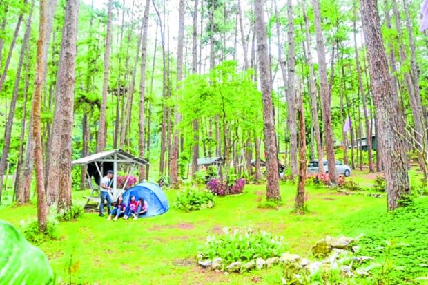 Young people enjoy the cool climate at the Bucari pine forest campsite in Leon, Iloilo.