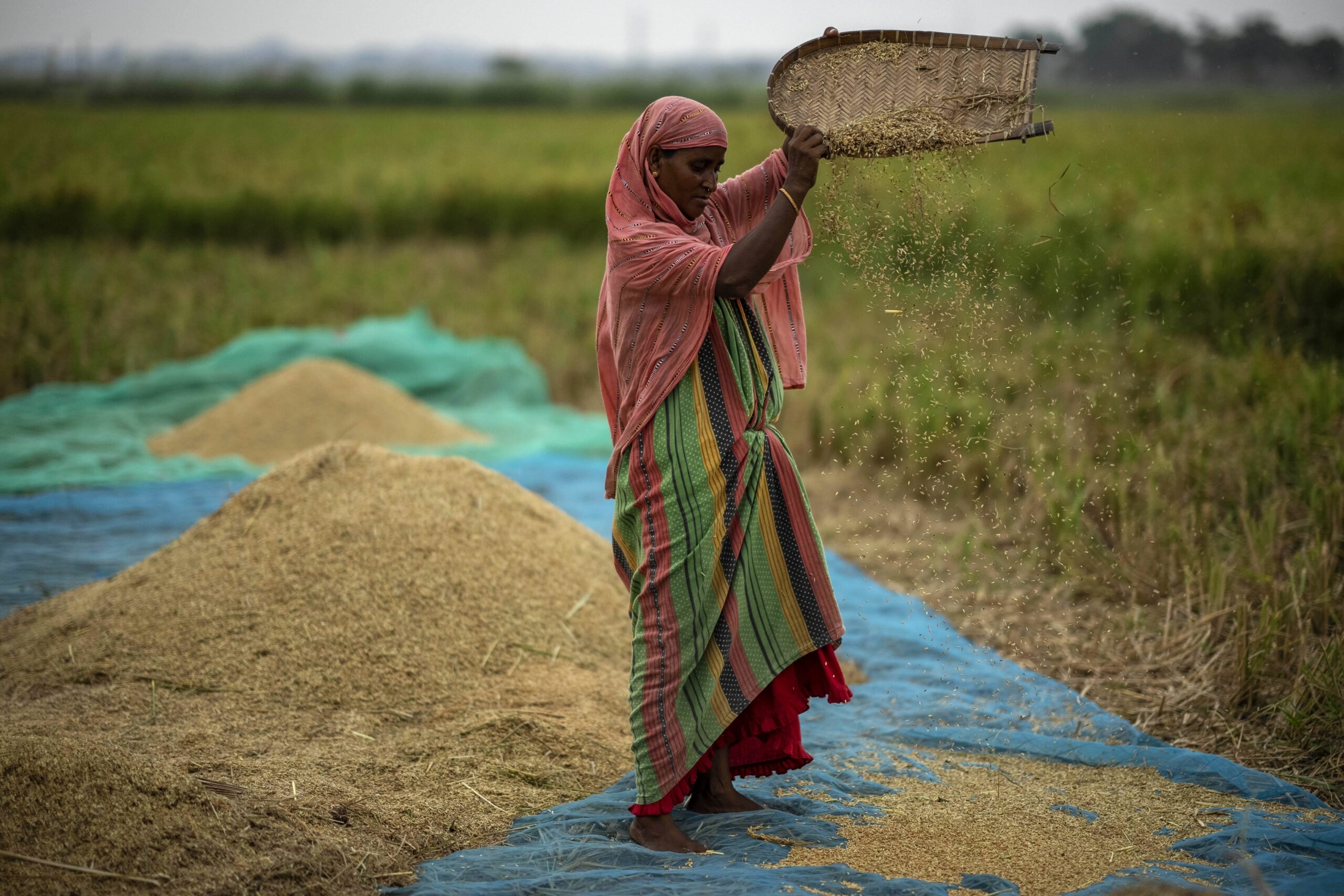 World food prices drop for seventh month