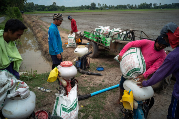 Thai farmers prepare for paddy seeding