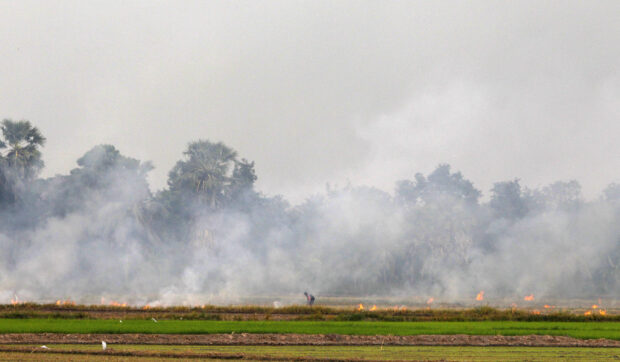 A farmer burns a paddy field to clear the land for next cropping in Thailand