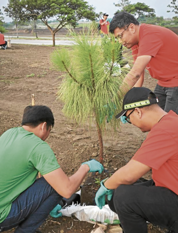 Villar City tree planting