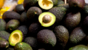 PH sends maiden shipment of hass avocados to Japan