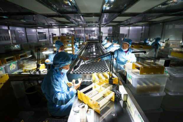 Production line of glass panels for mobile phones at a factory in China