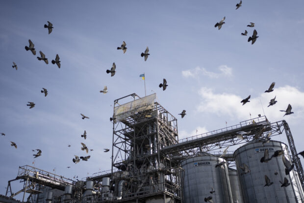 Birds fly around a grain handling and storage facility in central Ukraine
